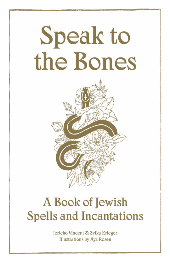 https://openlev.life/wp-content/uploads/2026/10/speak-to-the-bones.jpg
